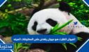 الحيوان القارت هو حيوان يتغذى على المخلوقات الميته