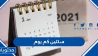 سنتين كم يوم