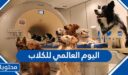 متى اليوم العالمي للكلاب 2025