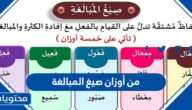 من أوزان صيغ المبالغة