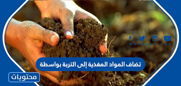 تضاف المواد المغذية إلى التربة بواسطة
