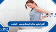 ألم الظهر بداية الحمل وجنس الجنين