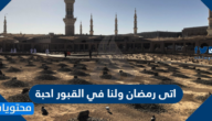 عبارات وصور ها قد اتى رمضان ولنا في القبور احبة 2025