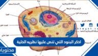 اذكر البنود التي تنص عليها نظريه الخلية