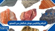 الرخام والنايس نوعان شائعان من الصخور