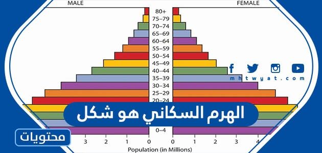 الهرم السكاني هو شكل