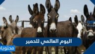 متى اليوم العالمي للحمير 2025 وما هي قصته