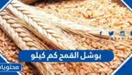 بوشل القمح كم كيلو