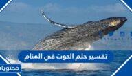 تفسير حلم الحوت في المنام