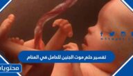 تفسير حلم موت الجنين للحامل في المنام