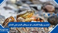 تفسير رؤية القبقب او سرطان البحر في الحلم