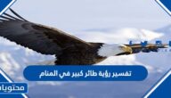 تفسير رؤية طائر كبير في المنام للعزباء والمتزوجة والحامل