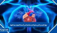 جهاز الجسم الذي يدفع الدم مباشرةً في أنسجة الحيوان هو الجهاز 