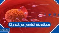 حجم البويضة الطبيعي في اليوم 12 
