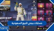 حسابات ببجي للبيع السعودية