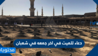 دعاء للميت في اخر جمعه في شعبان 2025 مكتوب