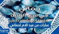 عبارات عن عيد الام لحماتي 2025 اجمل التهاني لام زوجي