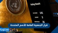 تفاصيل قرار الجمعية العامة للأمم المتحدة بخصوص حرب اوكرانيا وروسيا