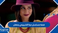 قصة مسلسل دينا الشربيني رمضان 2022