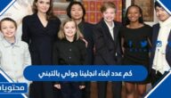 كم عدد ابناء انجلينا جولي بالتبني