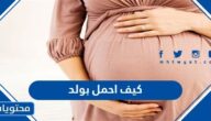 كيف احمل بولد