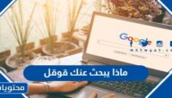 ماذا يبحث عنك قوقل