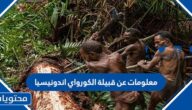 معلومات عن قبيلة الكورواي اندونيسيا
