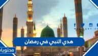 من هدي النبي في رمضان ، وما الاعمال التي كان يقوم بها الرسول في رمضان
