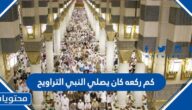 كم ركعه كان يصلي النبي التراويح