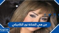 من هي الفنانة نور الكاديكي ويكيبيديا