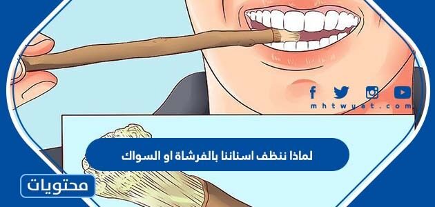 لماذا ننظف اسناننا بالفرشاة او السواك
