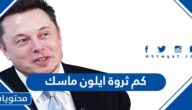 كم ثروة ايلون ماسك
