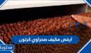 افضل وارخص مكيف صحراوي كرتون 2026