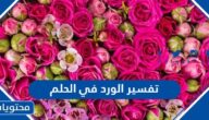 تفسير الورد في الحلم في المنام