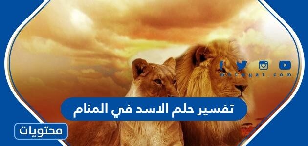 تفسير حلم الاسد في المنام لابن سيرين