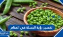 تفسير رؤية البسلة في المنام للأمام ابن سيرين