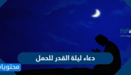 دعاء ليلة القدر للحمل مكتوب 1445