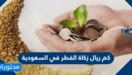 كم ريال زكاة الفطر في السعودية 2022