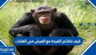 كيف تتلائم القردة مع العيش في الغابات