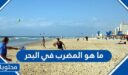 ما هو المضرب في البحر