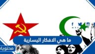 ما هي الافكار اليسارية