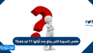 ماهى السورة التى يبلغ عدد آياتها 11 ايه فقط؟