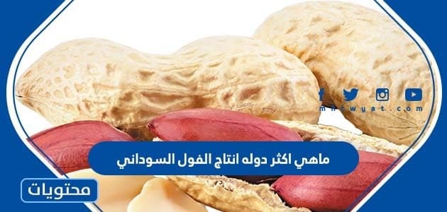 ماهي اكثر دوله انتاج الفول السوداني