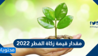 مقدار قيمة زكاة الفطر 2022 في السعودية والامارات وقطر