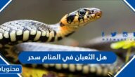 هل الثعبان في المنام سحر في المنام