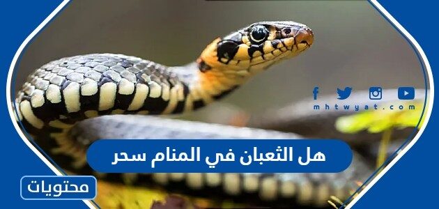 هل الثعبان في المنام سحر في المنام