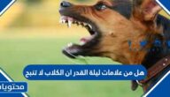 هل من علامات ليلة القدر ان الكلاب لا تنبح