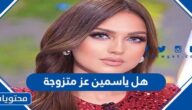 هل ياسمين عز متزوجة