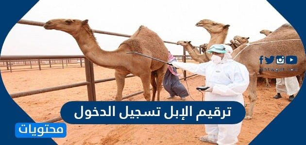 ترقيم الإبل تسجيل الدخول 2022