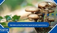 استخدام المخلوقات الحية مثل الفطريات لإزالة المواد السامة من منطقة ملوثة